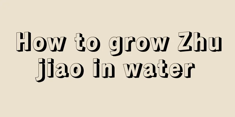 How to grow Zhujiao in water