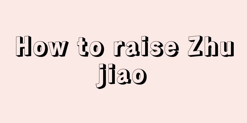 How to raise Zhujiao