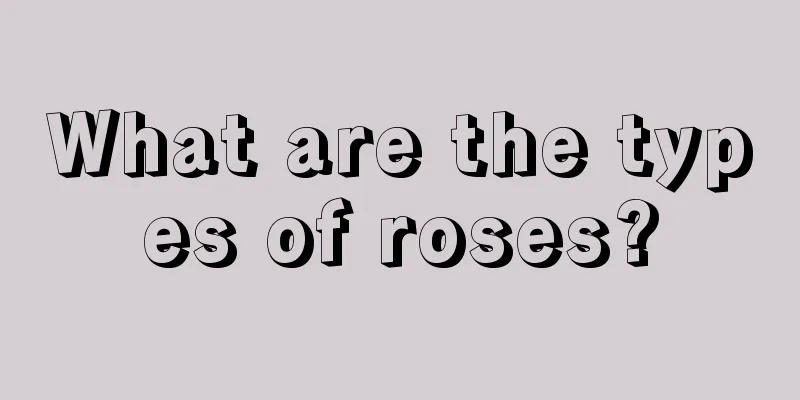 What are the types of roses?