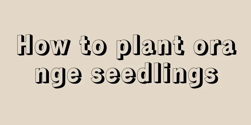 How to plant orange seedlings