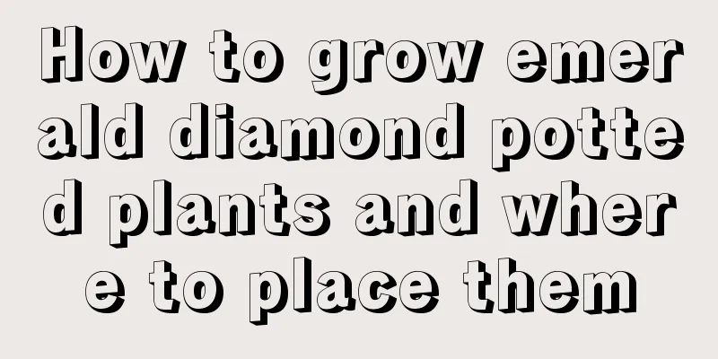 How to grow emerald diamond potted plants and where to place them