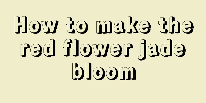 How to make the red flower jade bloom