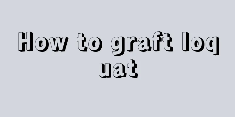 How to graft loquat