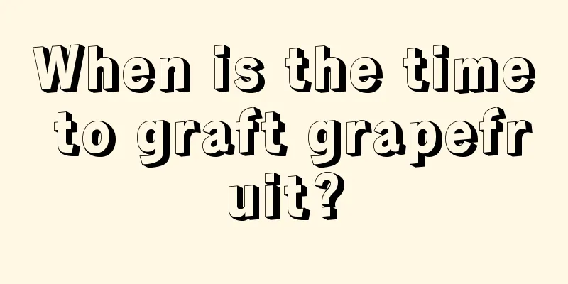 When is the time to graft grapefruit?