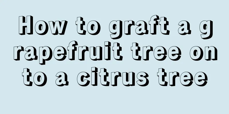 How to graft a grapefruit tree onto a citrus tree