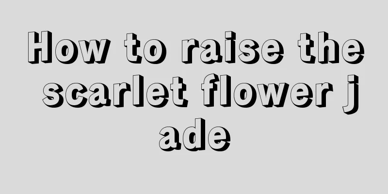 How to raise the scarlet flower jade