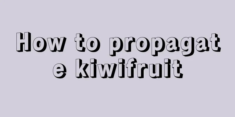 How to propagate kiwifruit