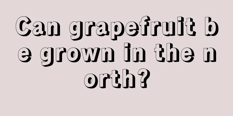 Can grapefruit be grown in the north?