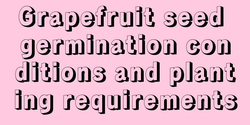 Grapefruit seed germination conditions and planting requirements