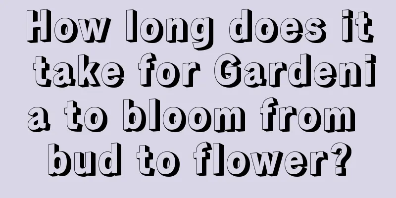 How long does it take for Gardenia to bloom from bud to flower?