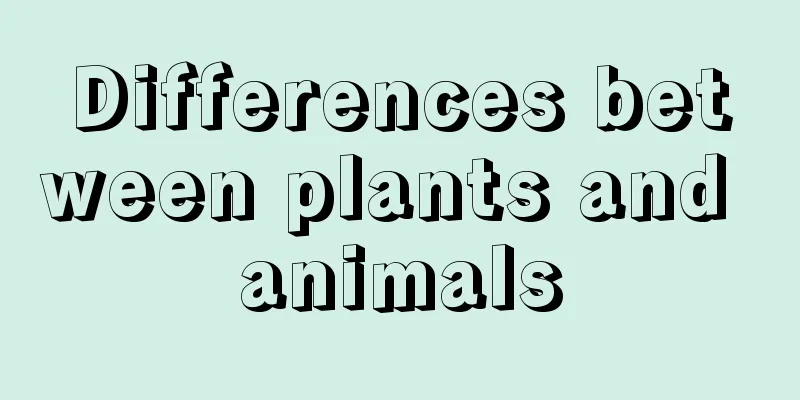 Differences between plants and animals