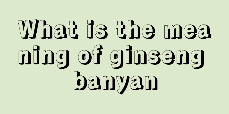 What is the meaning of ginseng banyan