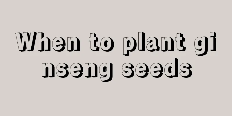 When to plant ginseng seeds