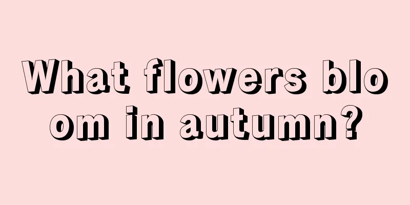 What flowers bloom in autumn?