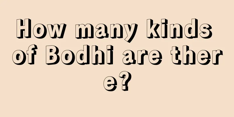 How many kinds of Bodhi are there?