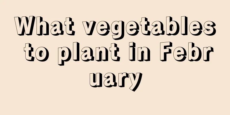 What vegetables to plant in February