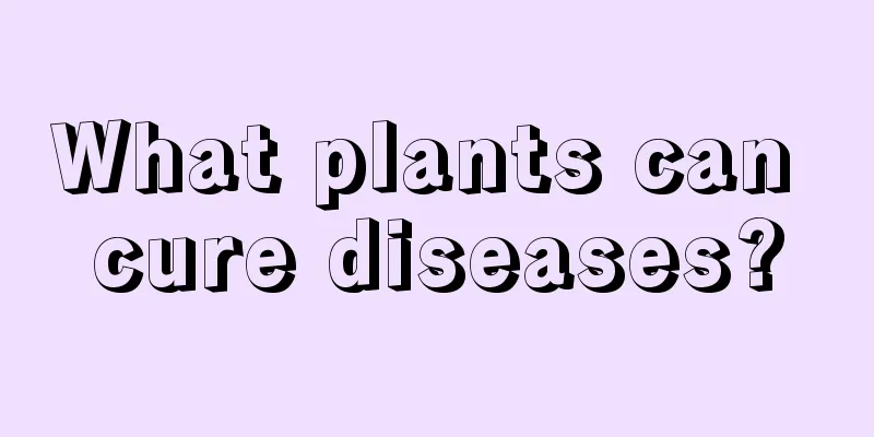 What plants can cure diseases?