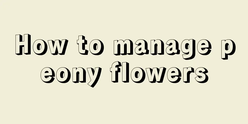 How to manage peony flowers