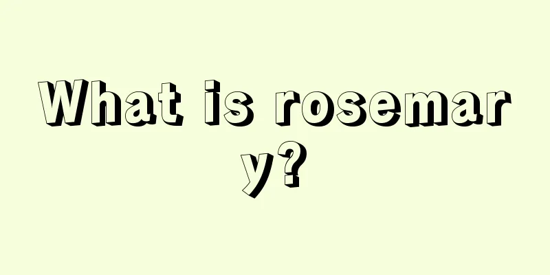 What is rosemary?