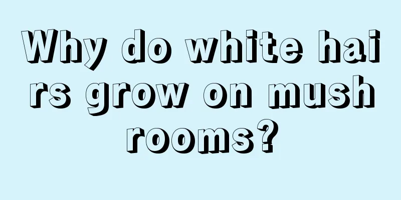 Why do white hairs grow on mushrooms?