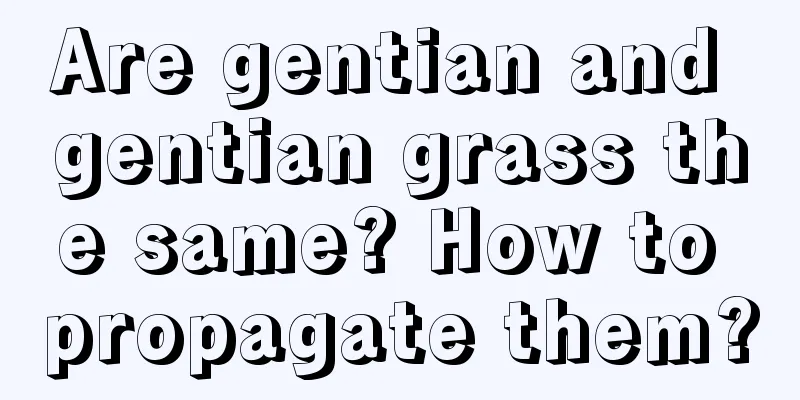 Are gentian and gentian grass the same? How to propagate them?