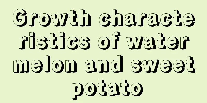 Growth characteristics of watermelon and sweet potato