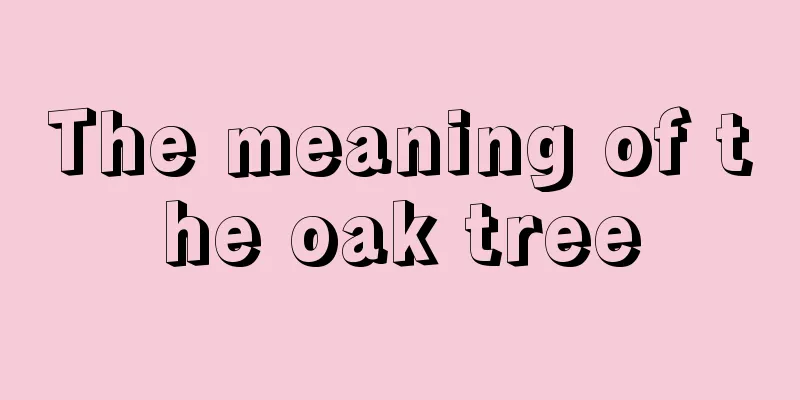 The meaning of the oak tree