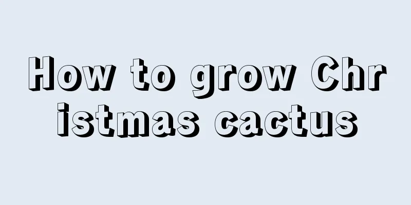 How to grow Christmas cactus