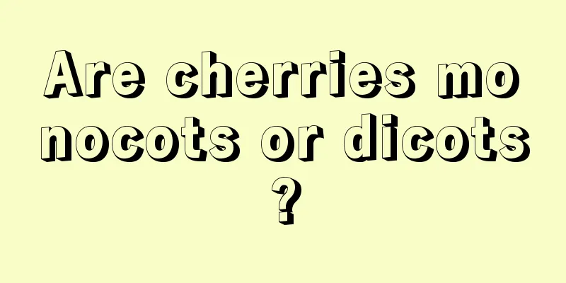 Are cherries monocots or dicots?