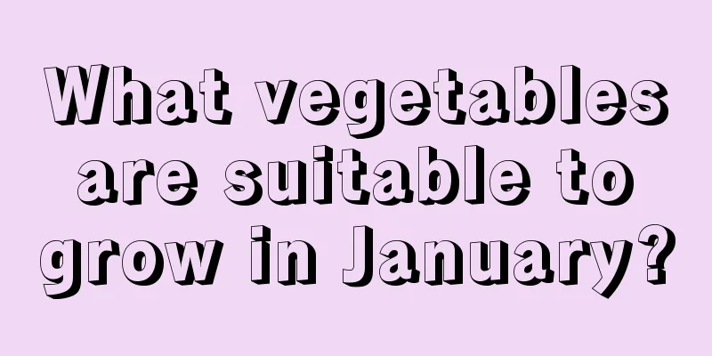 What vegetables are suitable to grow in January?