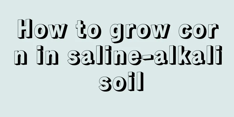 How to grow corn in saline-alkali soil