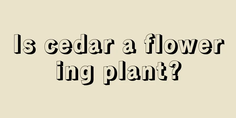 Is cedar a flowering plant?