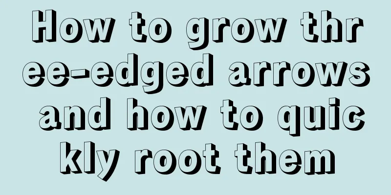 How to grow three-edged arrows and how to quickly root them