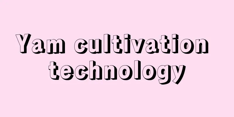 Yam cultivation technology