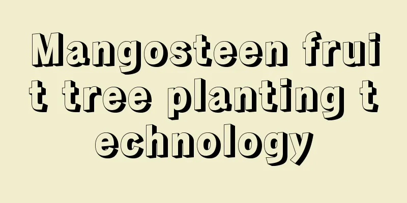 Mangosteen fruit tree planting technology