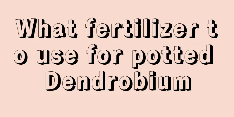 What fertilizer to use for potted Dendrobium