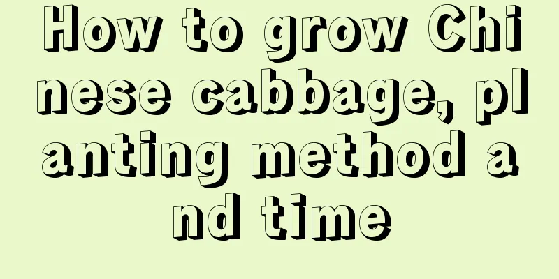 How to grow Chinese cabbage, planting method and time