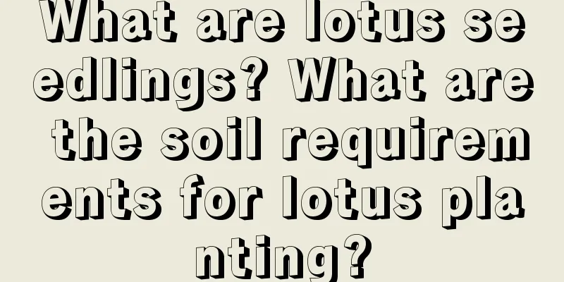 What are lotus seedlings? What are the soil requirements for lotus planting?