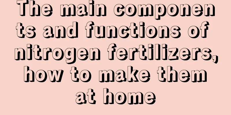 The main components and functions of nitrogen fertilizers, how to make them at home