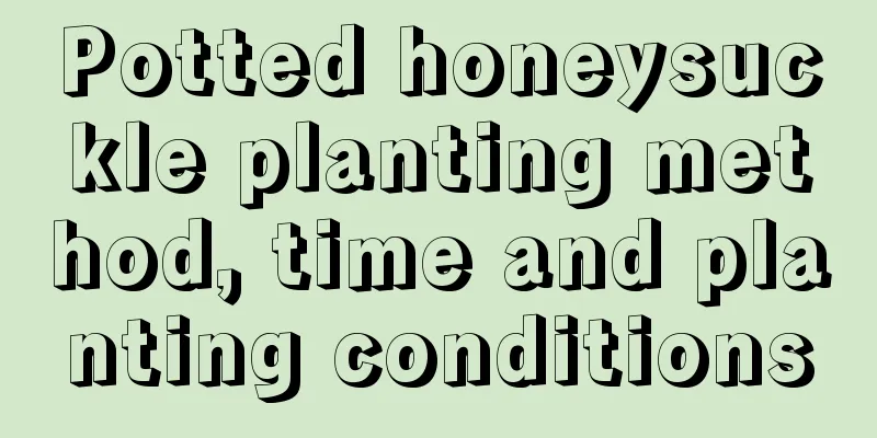 Potted honeysuckle planting method, time and planting conditions