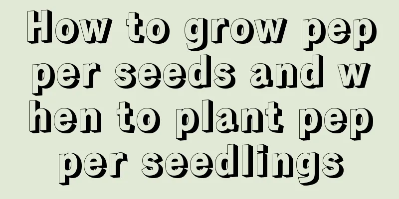 How to grow pepper seeds and when to plant pepper seedlings