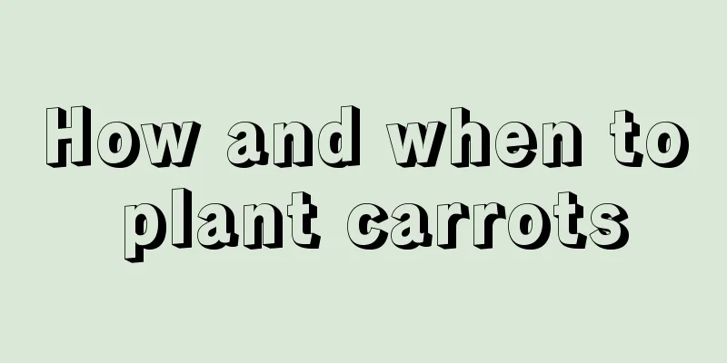 How and when to plant carrots