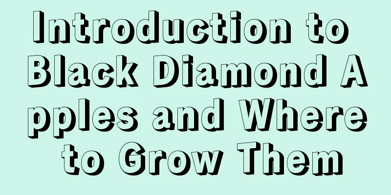 Introduction to Black Diamond Apples and Where to Grow Them