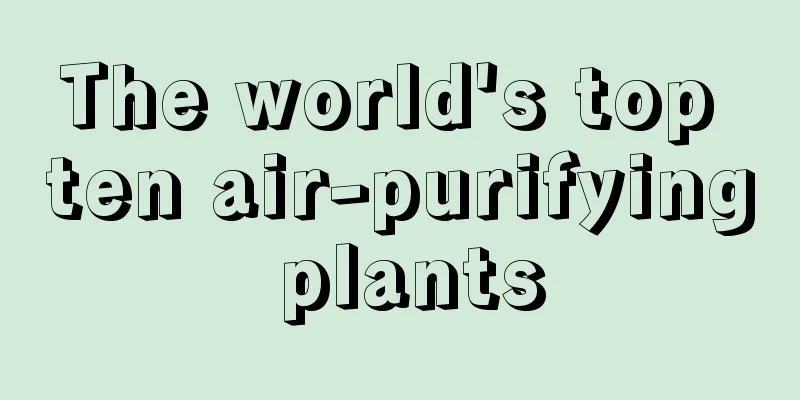 The world's top ten air-purifying plants