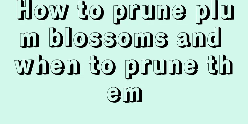 How to prune plum blossoms and when to prune them