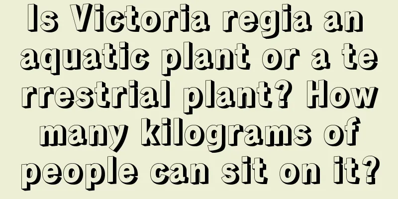 Is Victoria regia an aquatic plant or a terrestrial plant? How many kilograms of people can sit on it?