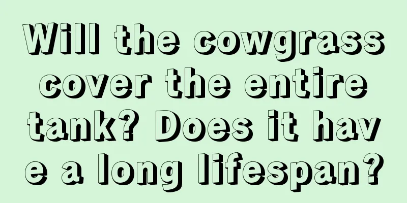 Will the cowgrass cover the entire tank? Does it have a long lifespan?