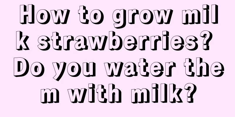 How to grow milk strawberries? Do you water them with milk?