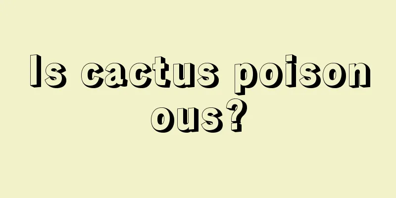 Is cactus poisonous?