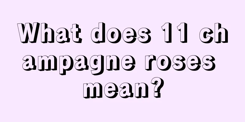 What does 11 champagne roses mean?